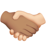 handshake-medium-skin-tone-light-skin-tone_1faf1-1f3fd-200d-1faf2-1f3fb